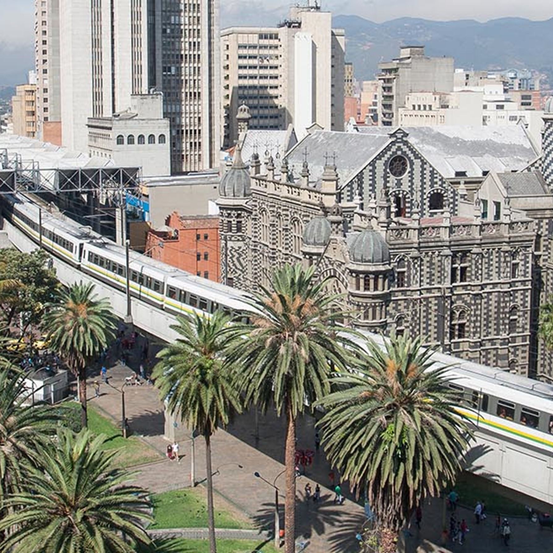 CONVERTIMOS CIUDADES EN BOSQUES